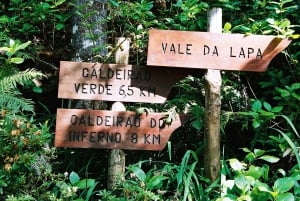Funchal: Levada Caldeirão Verde Waterfalls and Forests Hike