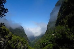 Funchal: Levada Caldeirão Verde Waterfalls and Forests Hike