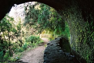 Funchal: Levada Caldeirão Verde Waterfalls and Forests Hike