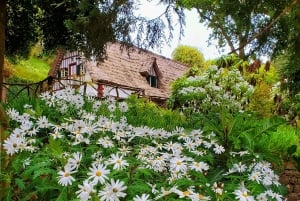 Funchal: Levada Caldeirão Verde Waterfalls and Forests Hike