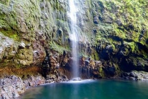 Funchal: Levada Caldeirão Verde Waterfalls and Forests Hike