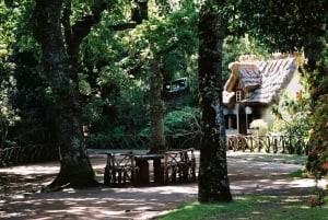 Funchal: Levada Caldeirão Verde Waterfalls and Forests Hike