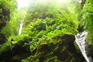 Funchal: Levada Caldeirão Verde Waterfalls and Forests Hike