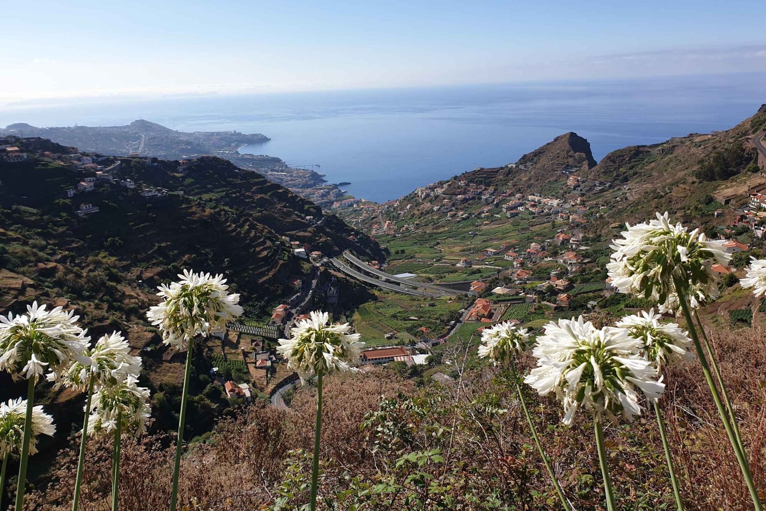 Фуншал: Левада-ду-Норте — прогулка с гидом и трансфер