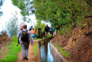 Funchal : Levada do Norte - Guided walk with transport