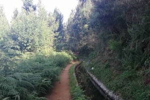 Funchal : Levada do Norte - Guided walk with transport