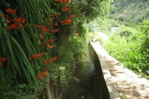 Funchal : Levada do Norte - Guided walk with transport