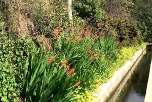 Funchal : Levada do Norte - Guided walk with transport