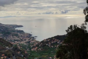 Funchal : Levada do Norte - Guided walk with transport
