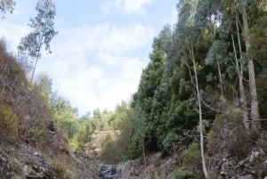 Level 2 - Canyoning Adventure - Intermediate - Funchal