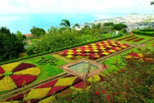 Funchal: Madeira Botanical Garden Private Tuk-Tuk Tour