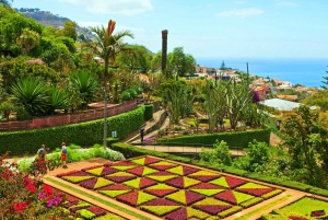 Funchal: Madeira Botanical Garden Private Tuk-Tuk Tour