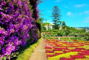 Funchal: Madeira Botanical Garden Private Tuk-Tuk Tour