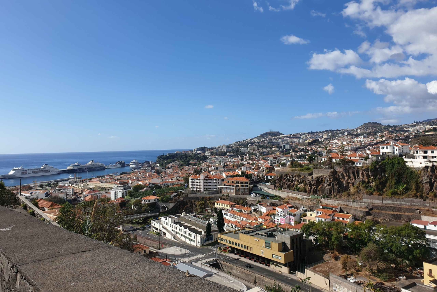 Funchal: tour in tuk-tuk del Giardino Botanico di Madeira + Città Vecchia
