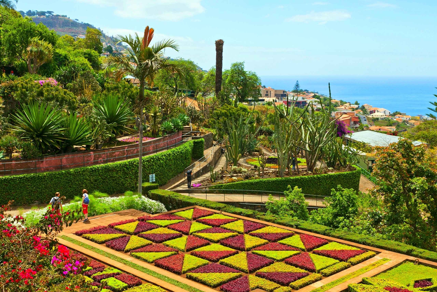 Funchal: tour in tuk-tuk del Giardino Botanico di Madeira + Città Vecchia