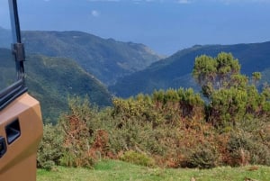 Funchal: Maderia Island Off Road Jeep Tour with Swim Stop