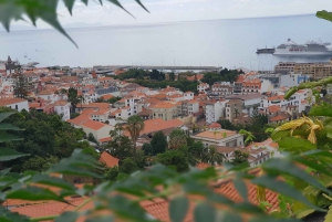 Funchal: Monte and Old Town Tour by Tuk-Tuk