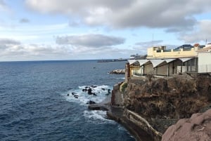 フンシャル：トゥクトゥクで行くモンテ＆旧市街ツアー