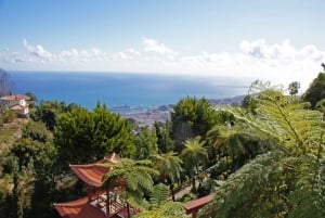 Funchal: Monte Palace Tropical Gardens Tuk Tuk Tour