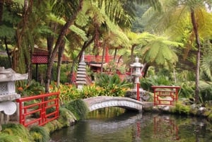 Funchal: Monte Palace Tropical Gardens Tuk Tuk Tour