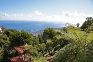 Фуншал: Тропические сады дворца Монте, тур на тук-туке