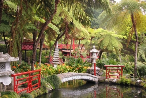 Фуншал: Тропические сады дворца Монте, тур на тук-туке