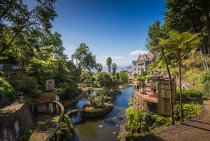 Funchal: Monte Tropical Garden & Toboggan Ride by Tuk Tuk