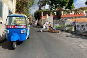 Funchal: Monte Tropical Garden & Toboggan Ride by Tuk Tuk