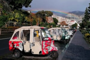 Funchal: Tuk Tuk Ride to Monte Funchal Toboggans