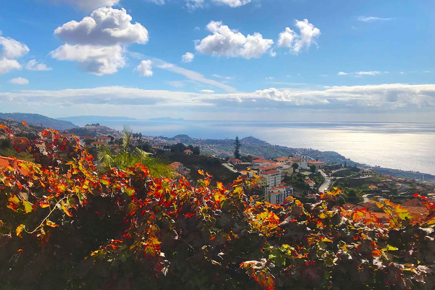 Funchal: wandeltocht door de Noordelijke Levada