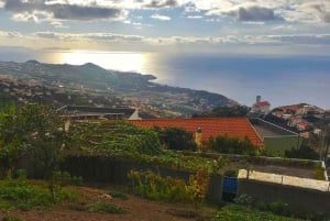 Funchal: Northern Levada Walking Tour