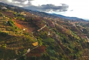 Funchal: Northern Levada Walking Tour