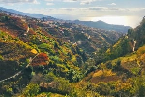 Funchal: Northern Levada Walking Tour