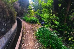 Funchal: Northern Levada Walking Tour