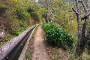 Funchal: Northern Levada Walking Tour