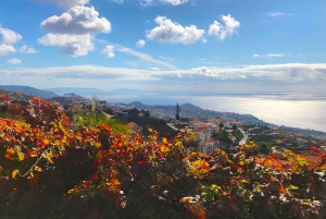 Funchal: wandeltocht door de Noordelijke Levada