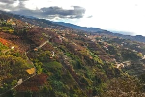 Funchal: wandeltocht door de Noordelijke Levada