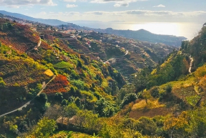 Funchal: wandeltocht door de Noordelijke Levada