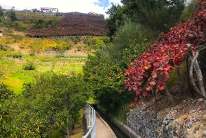 Funchal: wandeltocht door de Noordelijke Levada