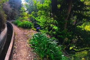 Funchal: wandeltocht door de Noordelijke Levada