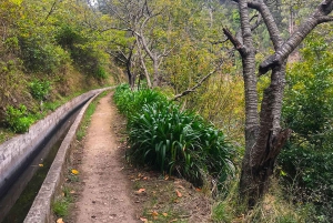 Funchal: wandeltocht door de Noordelijke Levada