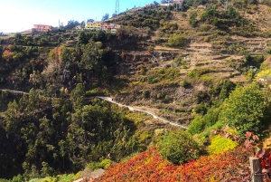 Funchal: wandeltocht door de Noordelijke Levada