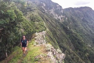 Funchal: Ocean to Mountain Running Tour