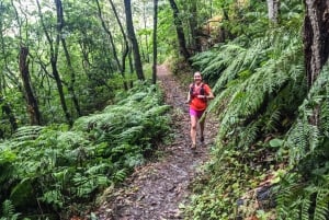 Funchal: Ocean to Mountain Running Tour