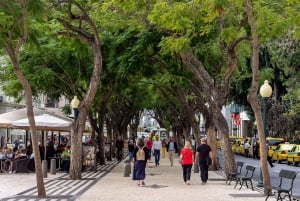 Funchal: Old Town Walking Tour