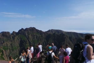 Funchal: Pico Arieiro, Cristo Rei and Dolphins Watching