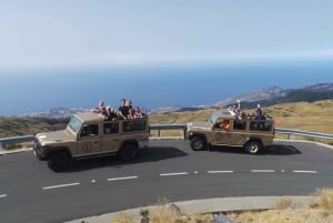 Funchal: Pico Arieiro, Cristo Rei and Dolphins Watching