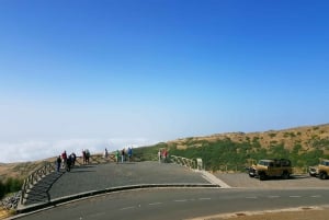 Funchal: Pico Arieiro, Cristo Rei and Dolphins Watching