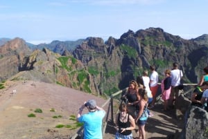 Funchal: Pico Arieiro, Cristo Rei and Dolphins Watching