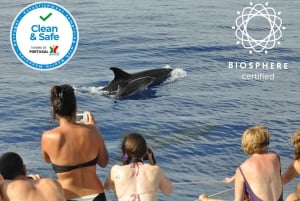 Funchal: Pico Arieiro, Cristo Rei and Dolphins Watching